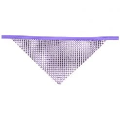 BGlittz Accessories Violet Crystal Face Mask