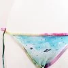 WILDFOX Swim Space Cadet Reversible Classic String Bikini Bottom