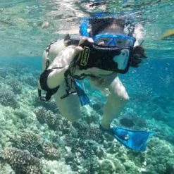 DiCAPac 5.1" Universal Waterproof Smartphone Case In Green 13 DiCAPac 5.1